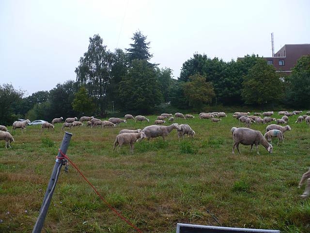 Bild "fd_2013_010.jpg"